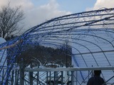 IMG_1705
