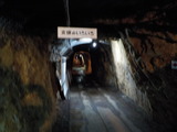 DSCN2111