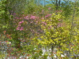 DSCN1792