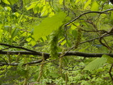 DSCN1743