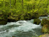 DSCN1747