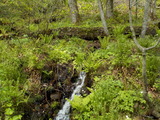 DSCN1749