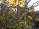 DSCN2113