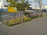 DSCN1716