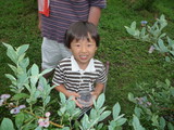 画像 146