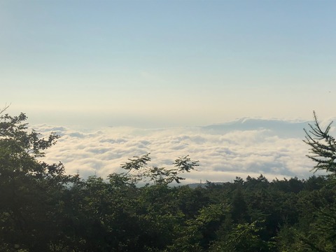 image2 (1)