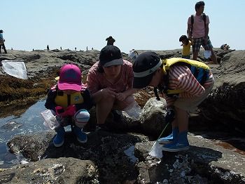 140427_yadokari
