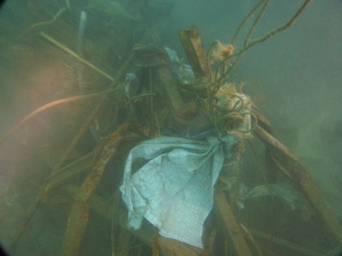 P1120244