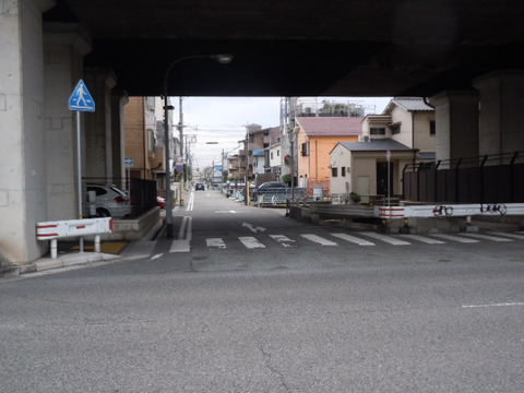 DSCN6405