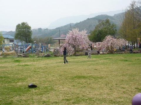 P1010505