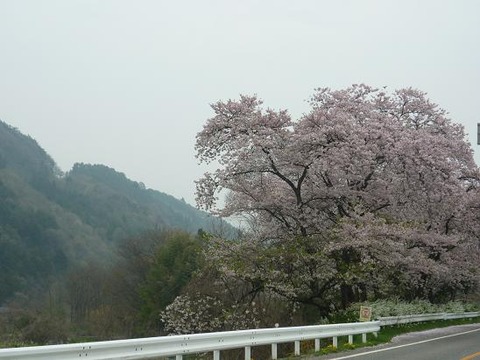 P1010522