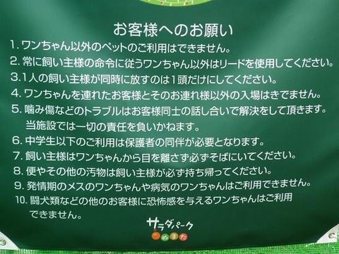 P1010501