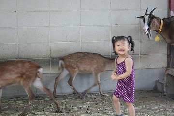 愛知こどもの国