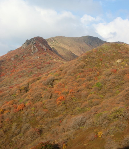 紅葉くじゅう83