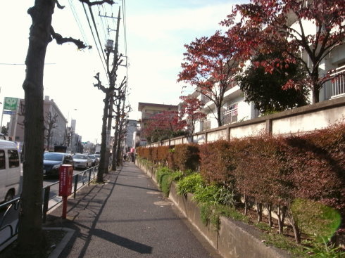 世田谷54
