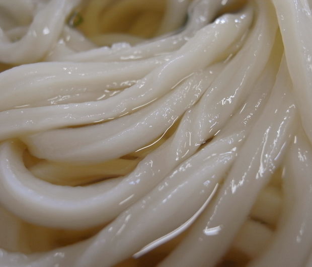 太郎うどん21