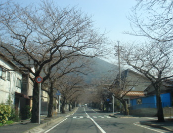 安部山公園10