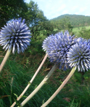 三俣山12