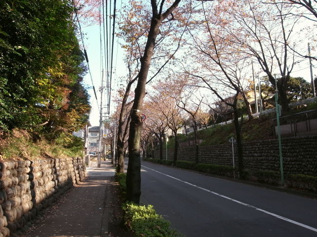 世田谷53