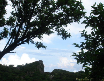 大船山22b