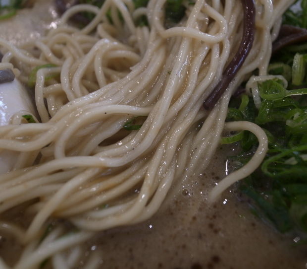熊本15