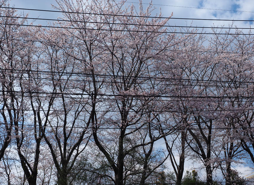2019_03_31_ki51