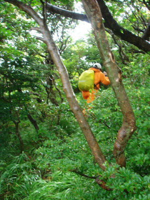大船山24b