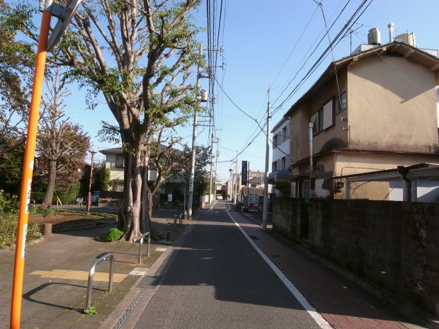 世田谷52
