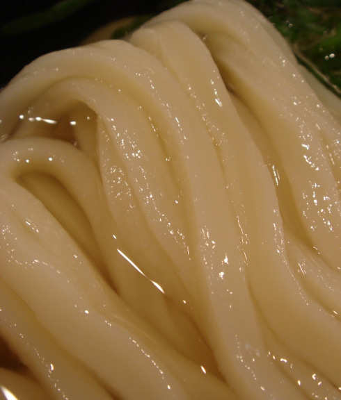 福岡麺通団11
