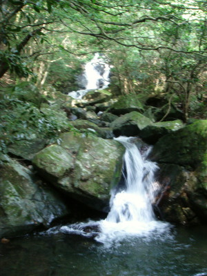 福智山34