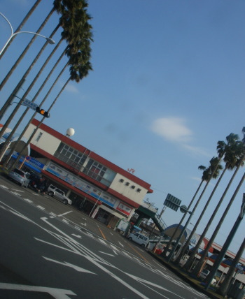 宮崎14
