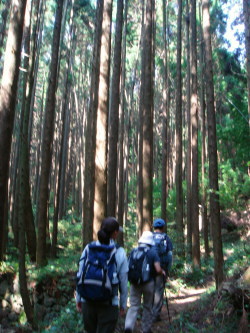 福智山43