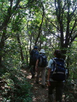 福智山44
