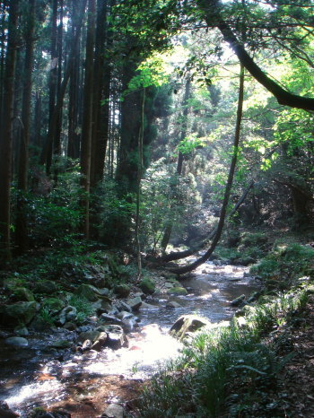 福智山41