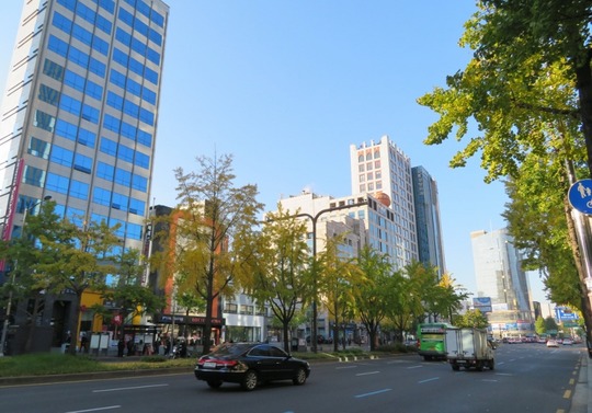 IMG_0779 (800x559)