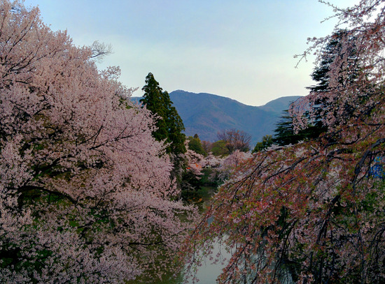 IMG_20160410_063124edited