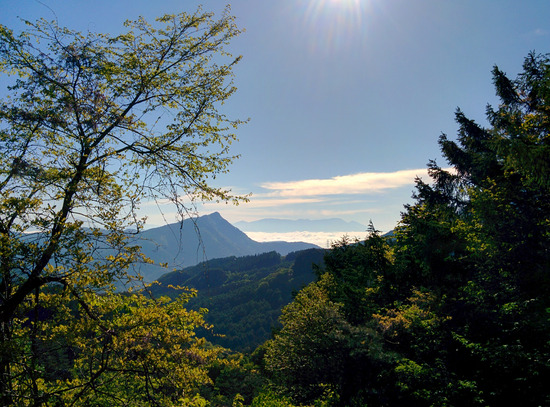 IMG_20160518_071652edited