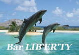 LIBA