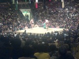 sumou2