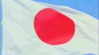 イメージ254