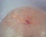 200501202224000.jpg