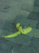 83c95f17.jpg