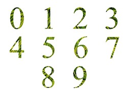 数字