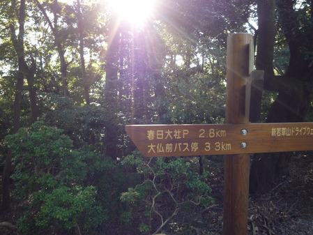 原始林