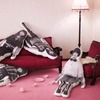 77989_185_news_thumb_negoto_exNegoto-m