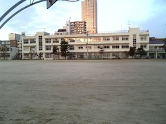 aa678d5d.jpg