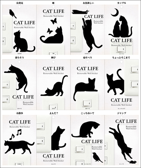 catlifeimg2