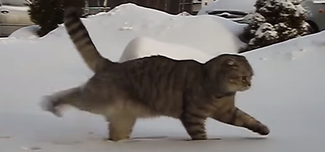 2456