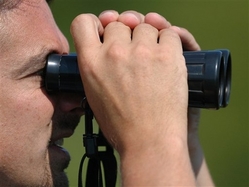 travel_trend_birdwatching_in_bloom_ny406