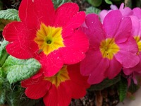 20190204_093203